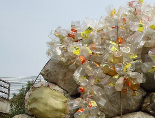 PET bottle collection in Zhejiang, China